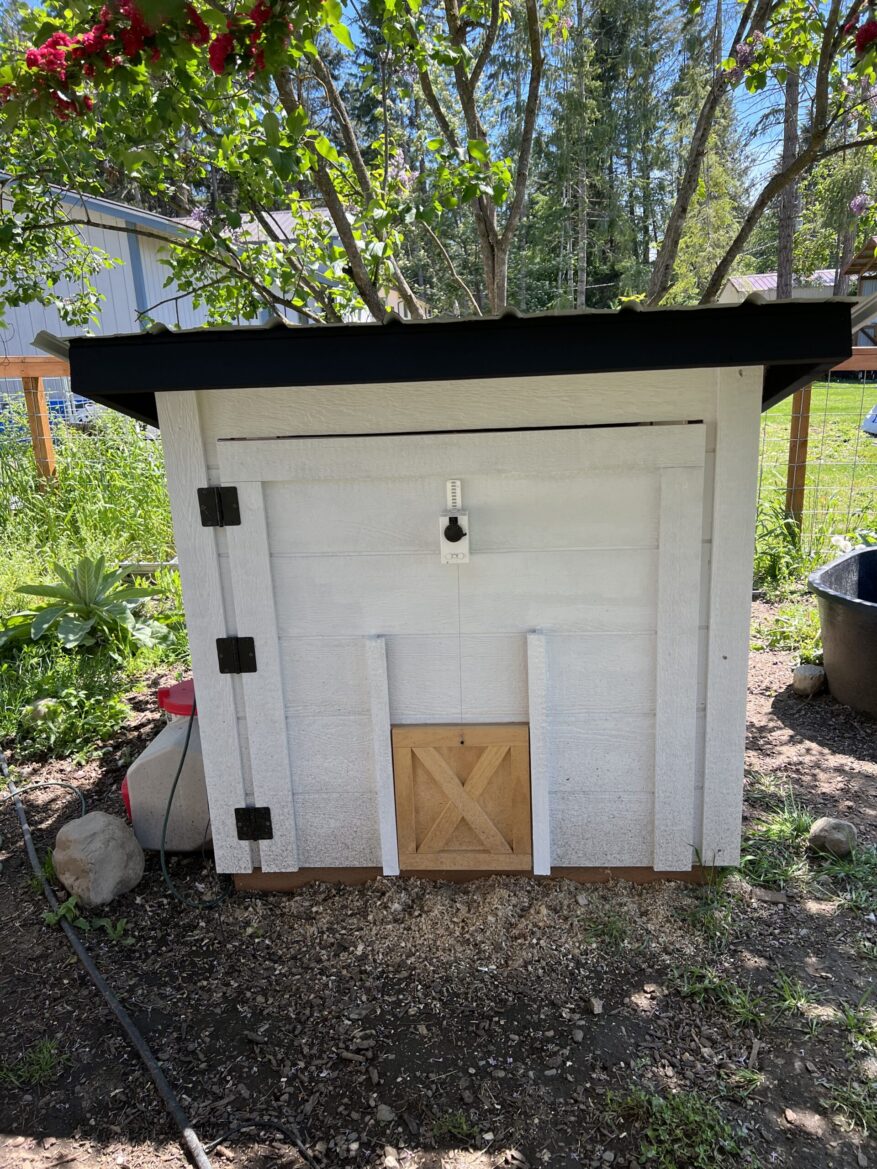 Easy Clean Duck Coop