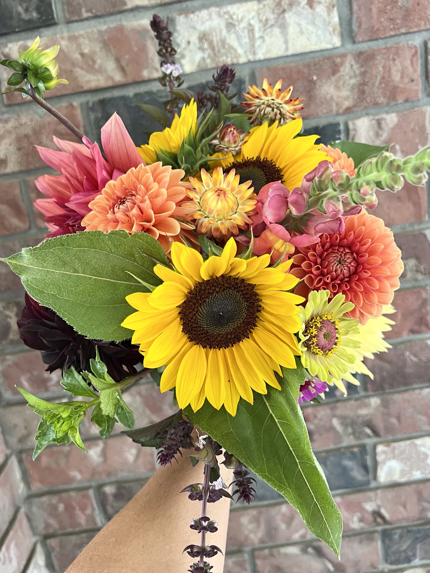 What a First-Year Small-Scale Flower Farmer Learned