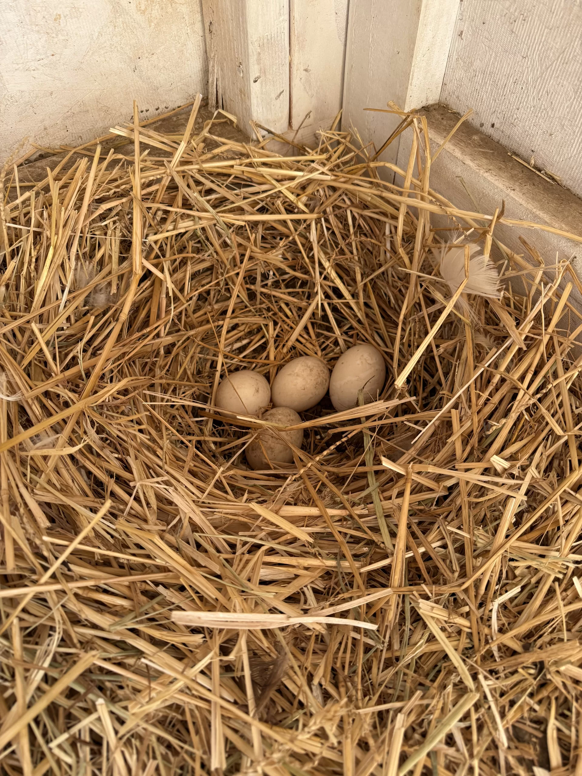 7 Things That Made Me Smile This Week