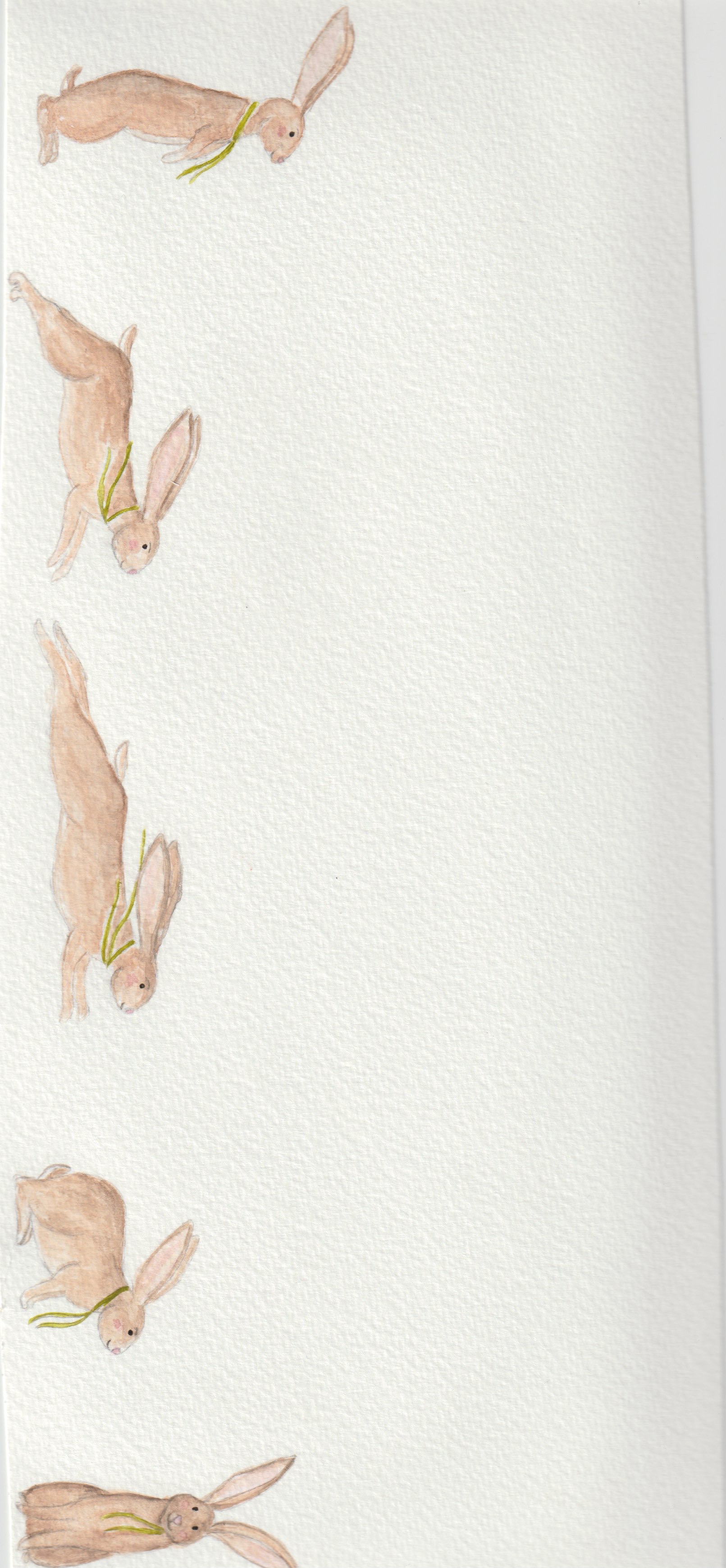 A Lesson From Creation: The Tortoise and The Hare